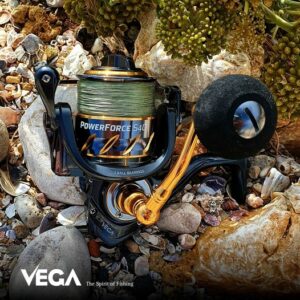 246804755 10158005488601529 8559977677388559495 N