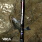 Cana Vega Potenza Shore Game New 0 Pesca Barrento