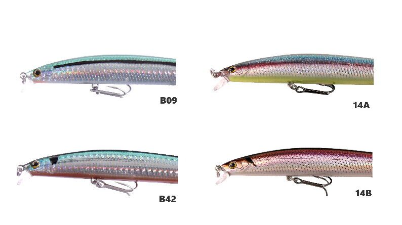 Yokozuna Montero 165 New Pesca Barrento