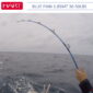 Cana Hart Blue Finn 1.85mt 3 Pesca Barrento
