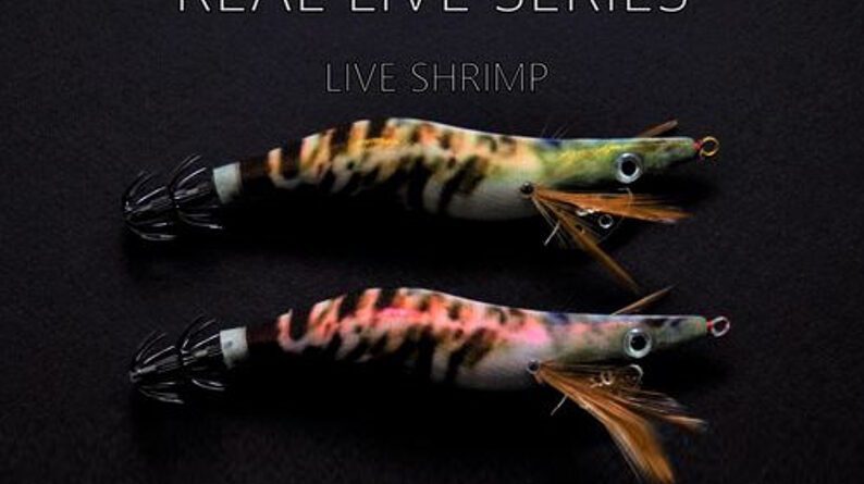 Toneiras Vega Live Shrimp Group Pesca Barrento