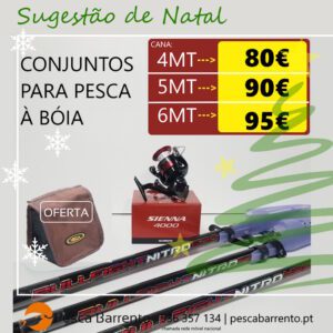 Conjunto Bóia Vega Bullfight + Shimano Sienna Pesca Barrento N2025