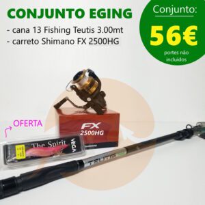 Conjunto Eging Teutis 3.00mt + Fx 2500 Hg Pesca Barrento