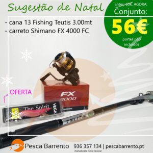 Conjunto Eging Teutis Fx 4000 Pesca Barrento N2025