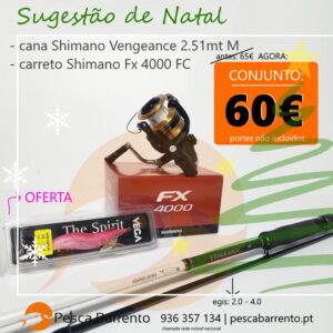 Conjunto Eging Vengeance Fx 4000 Pesca Barrento N2025