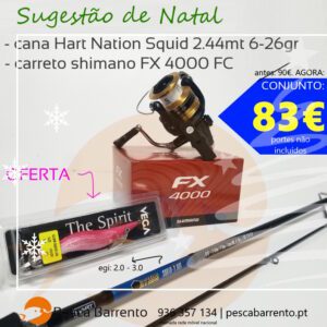 Connunto Eging Hart Nation Fx 4000 Pesca Barrento N2025