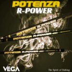 492615140 1206379941497170 5495704755384690507 N