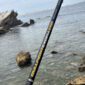 Cana Vega Bullfight Excell Pesca Barrento